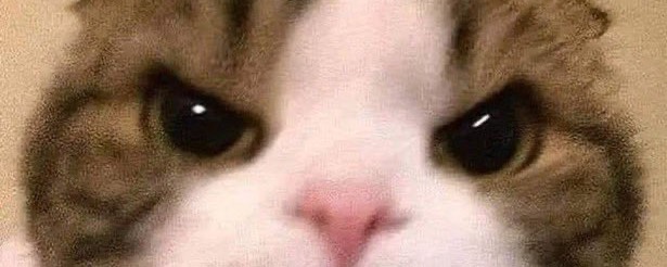 ぽこ