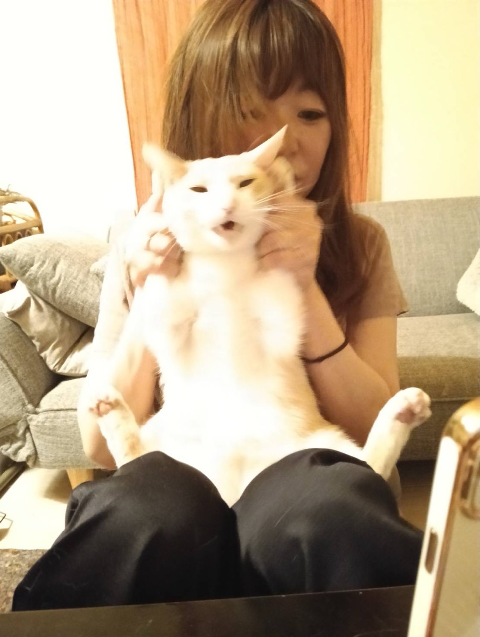 ❤️🩹 🐱まな🐱 ❤️🩹