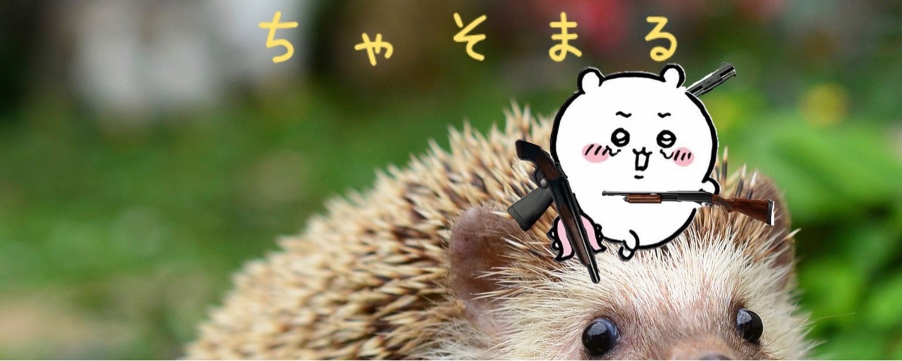 ちゃそまる💩