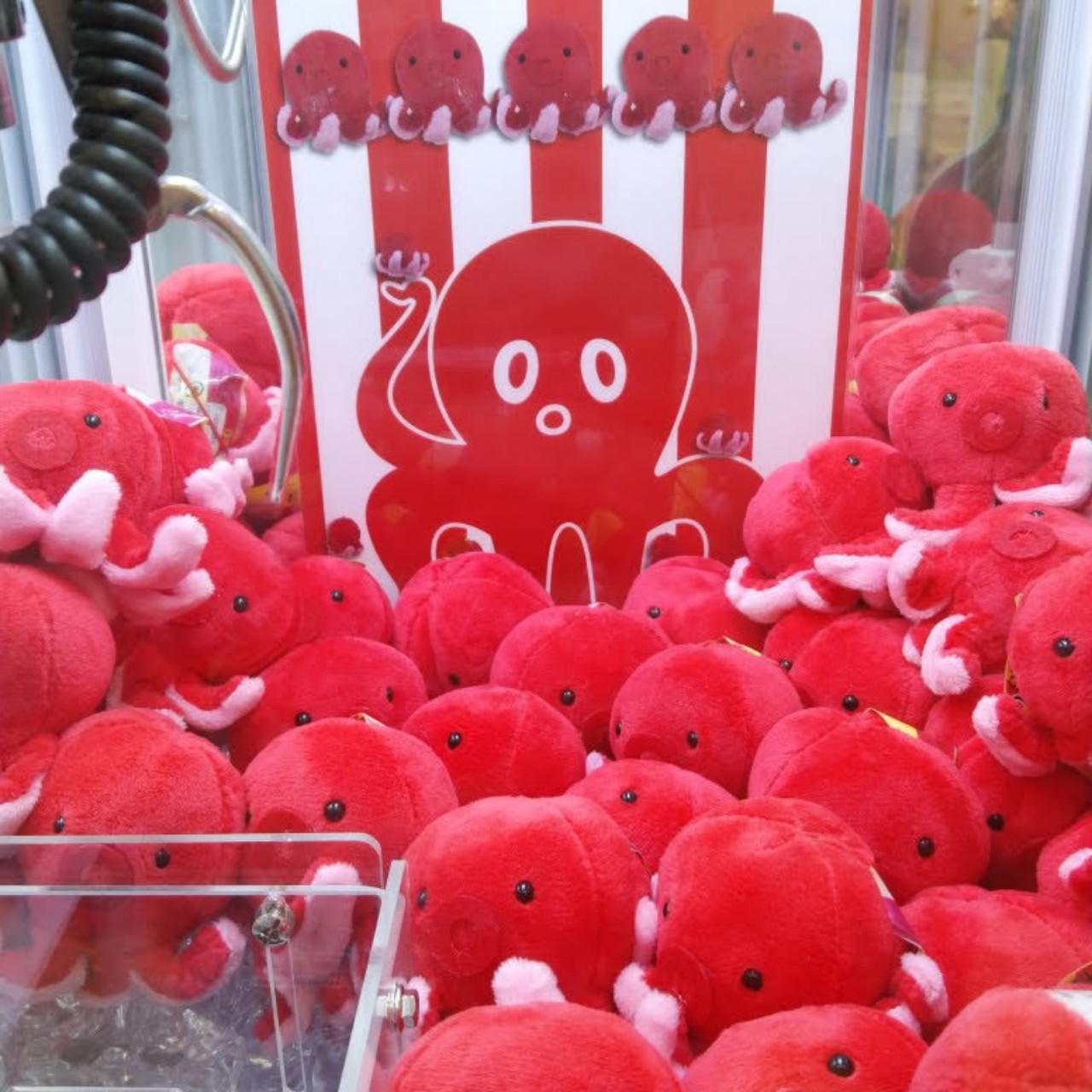 🐙ぽるぽん🐙