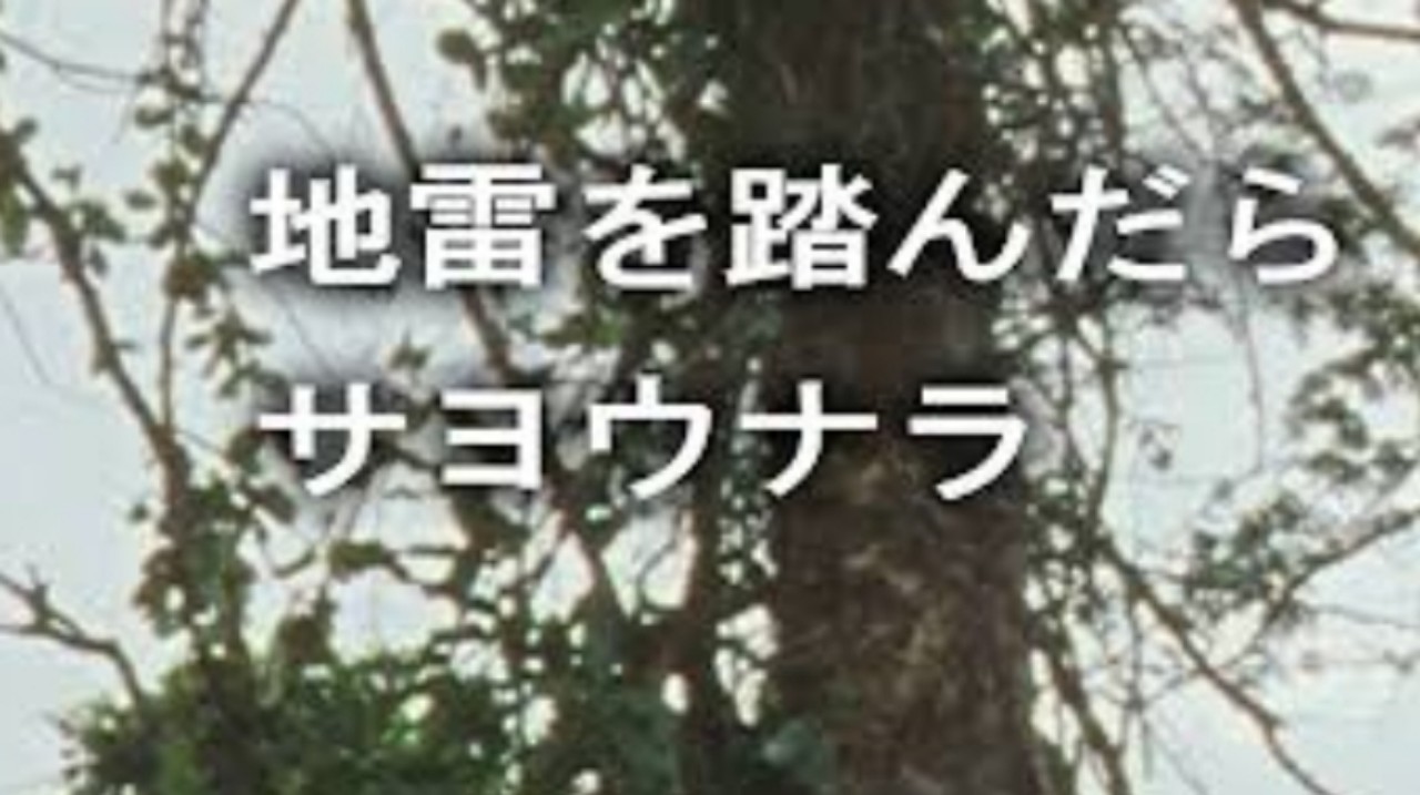 やーはん🤟
