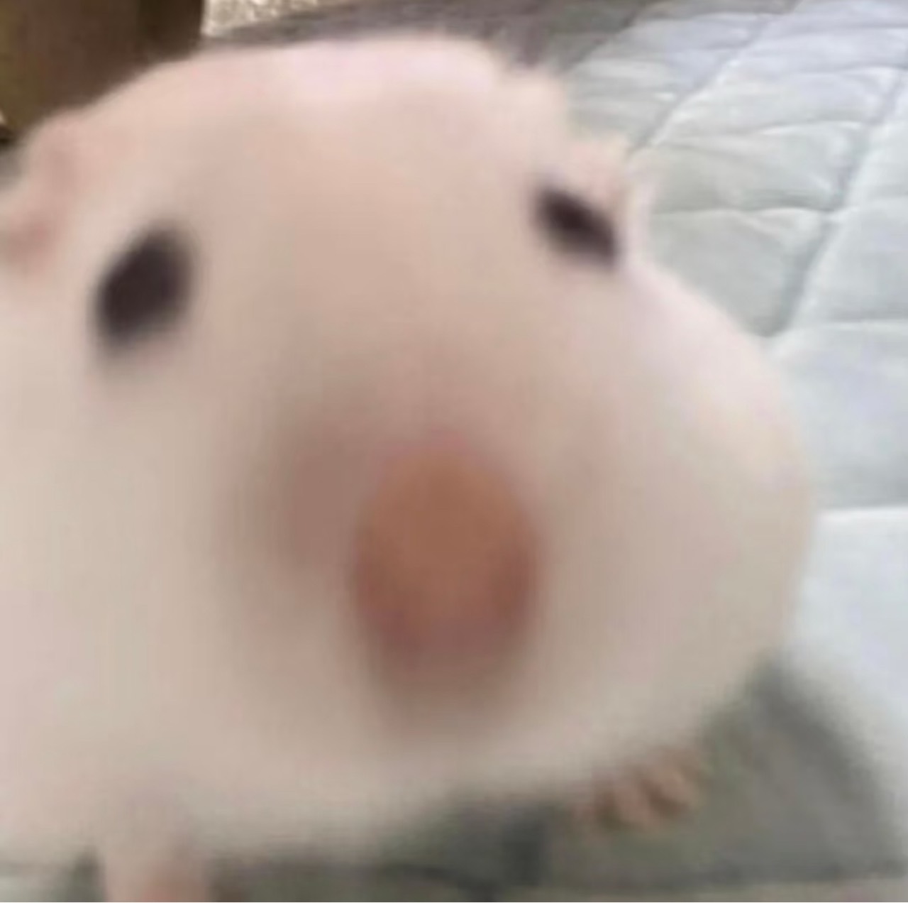 水素