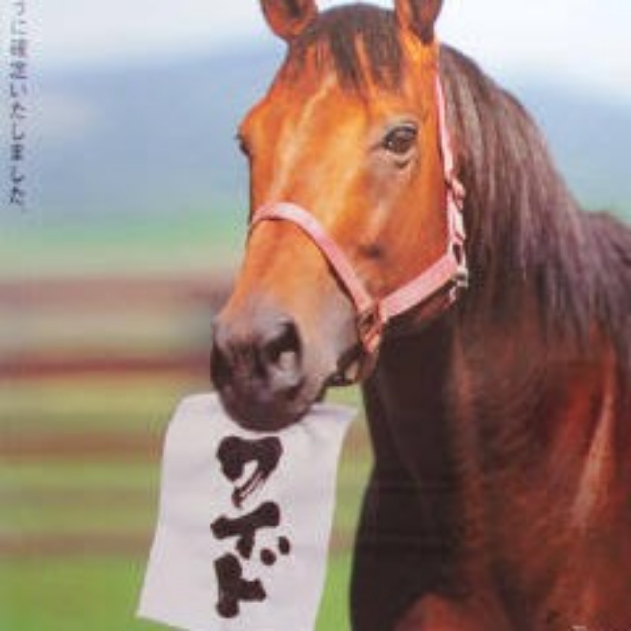 ナイスネイチャ