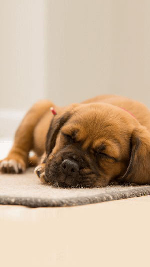 Sac様とカラオケ６