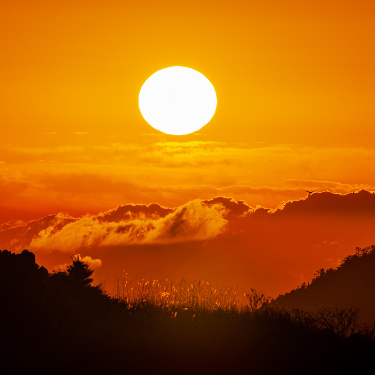 【DTM作曲】暁光