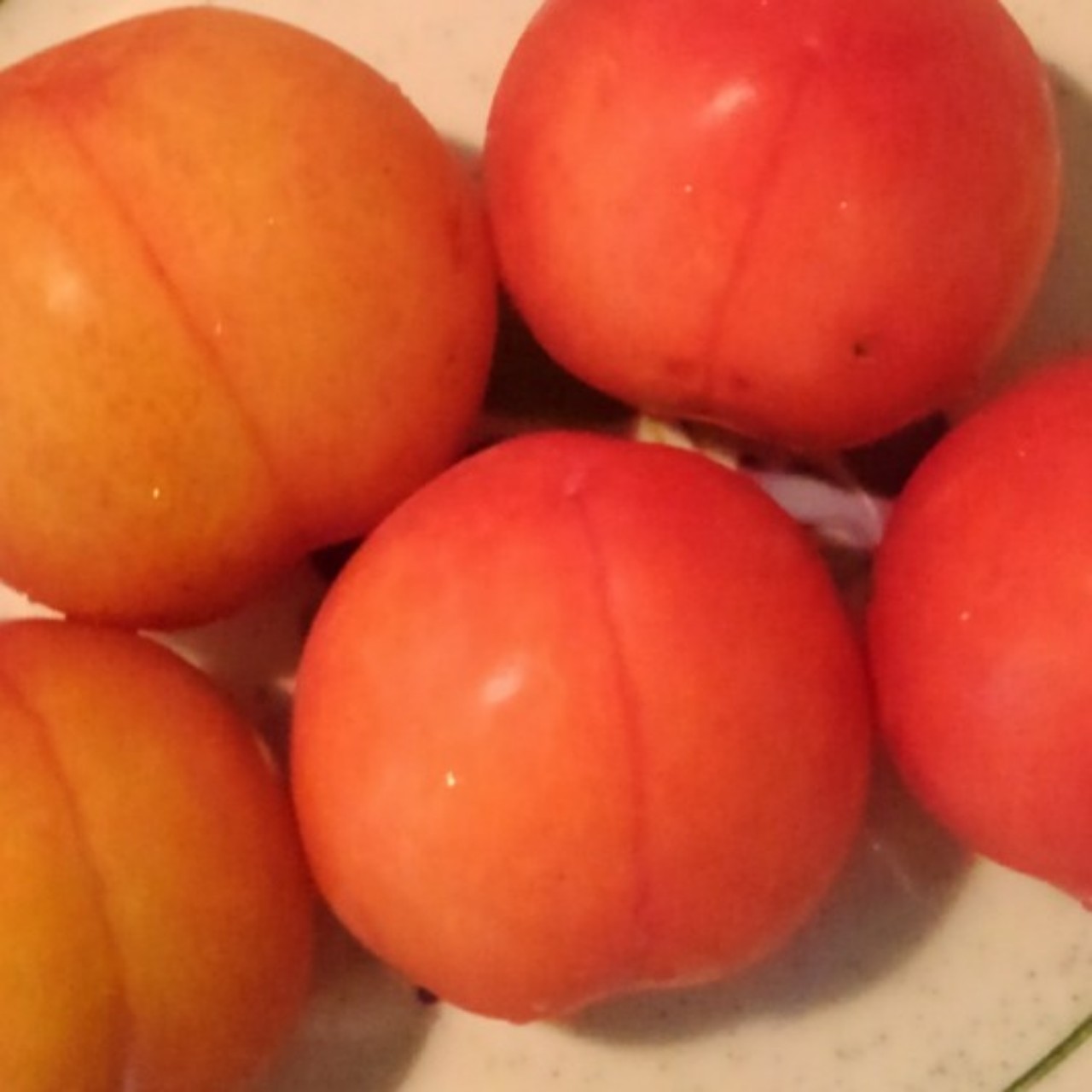 初めまして。無名芸人です。