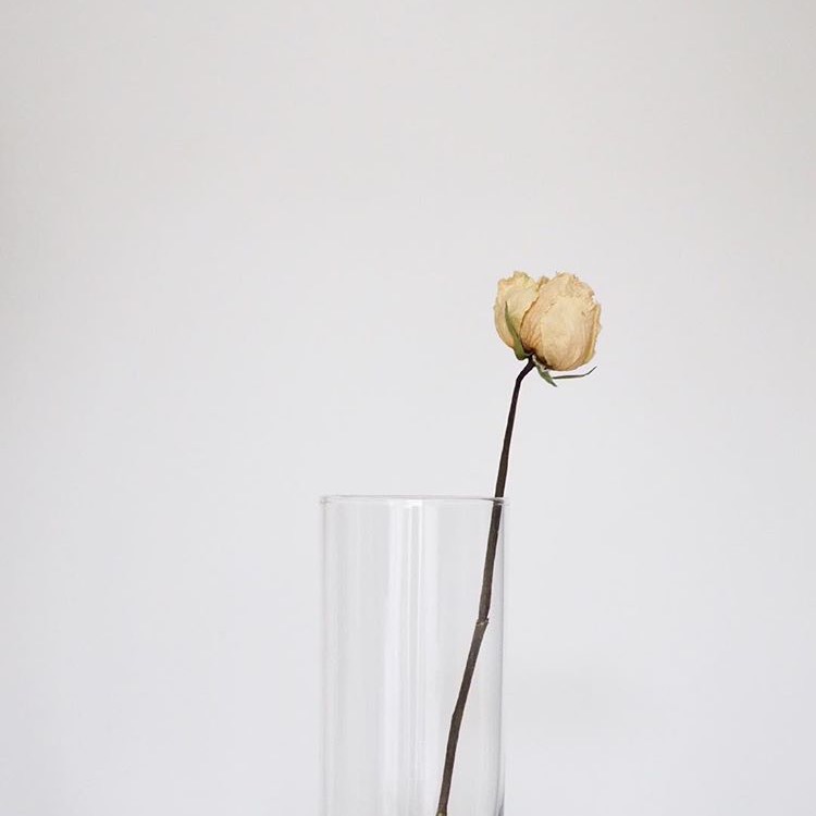 ぎゅっと。 / もさを。