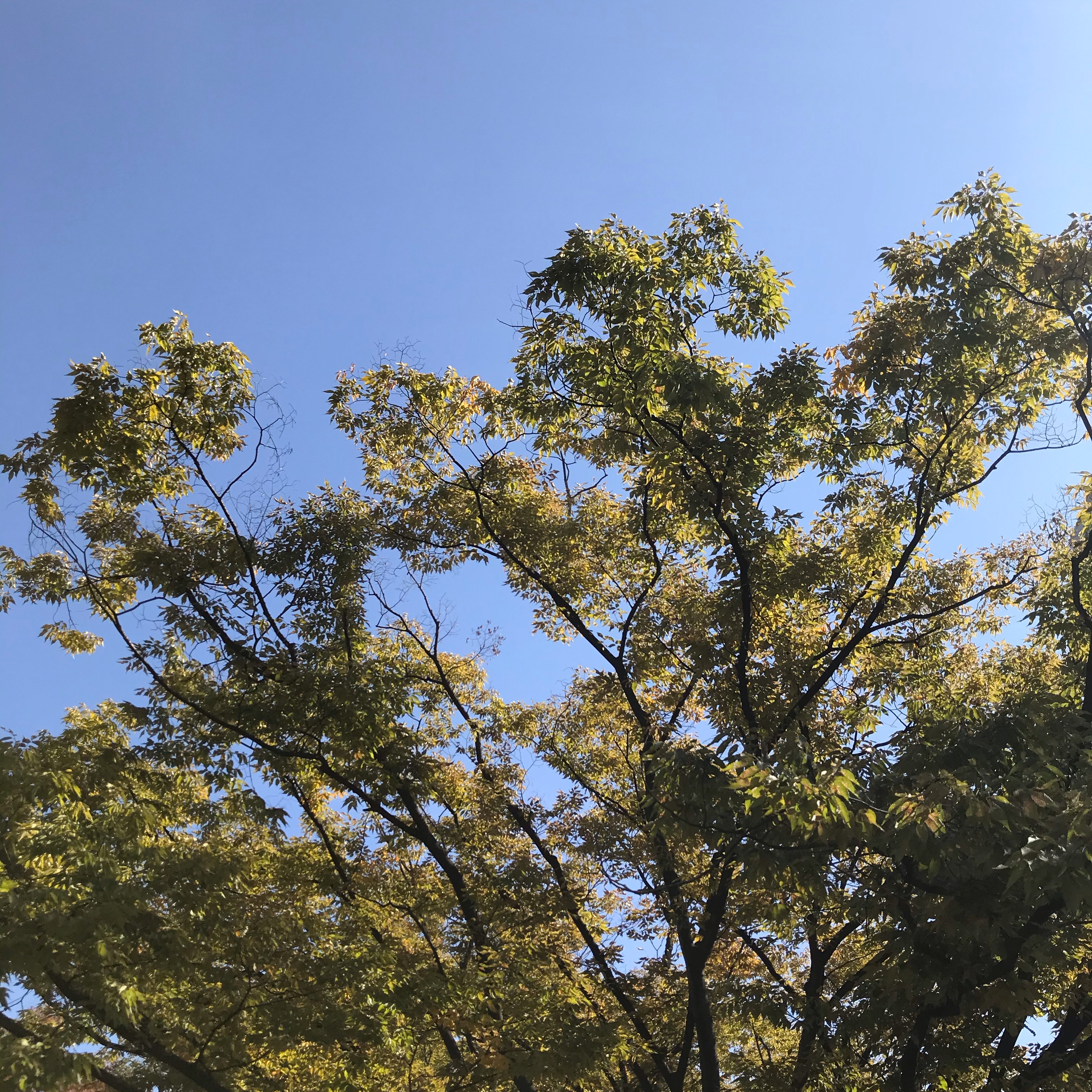 #168 野球好き。