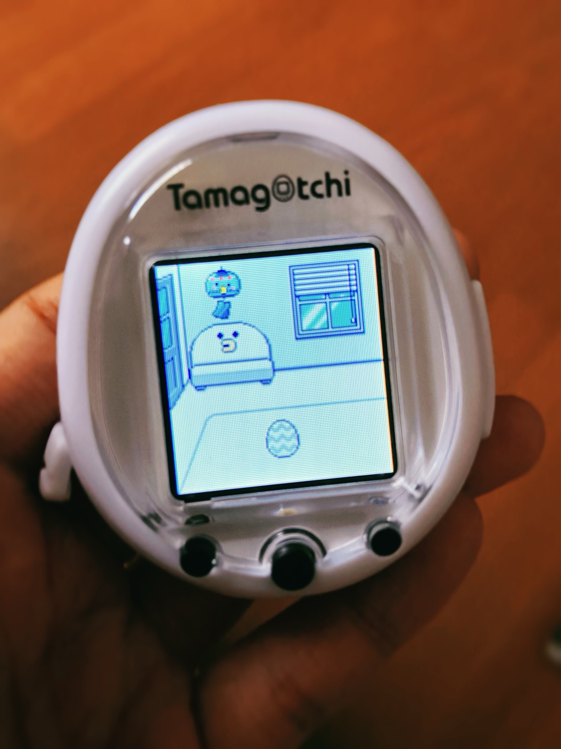 たまごっちを開封した女