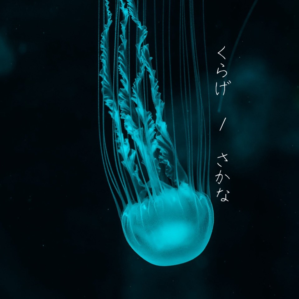 くらげ / さかな