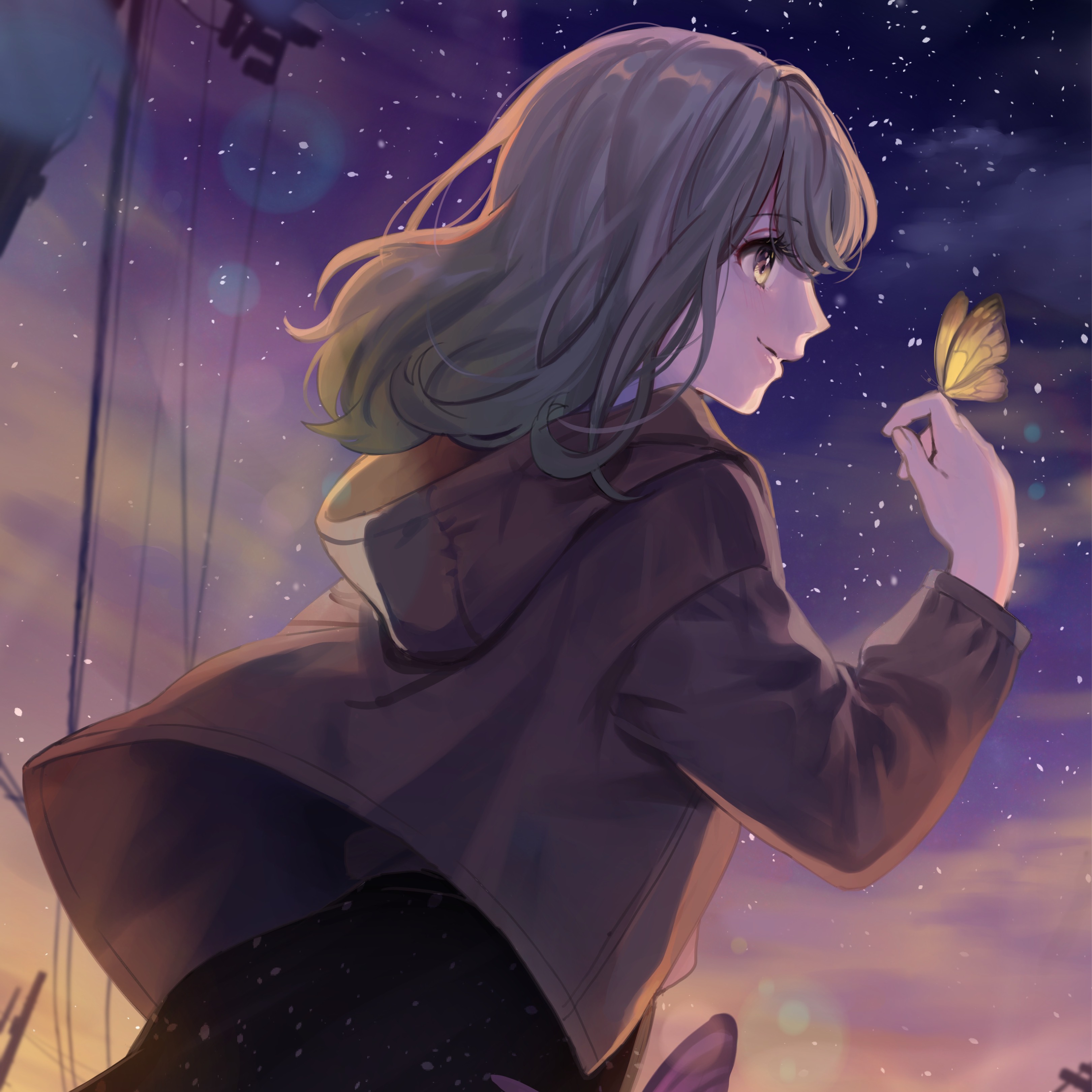 よふかしさん.。