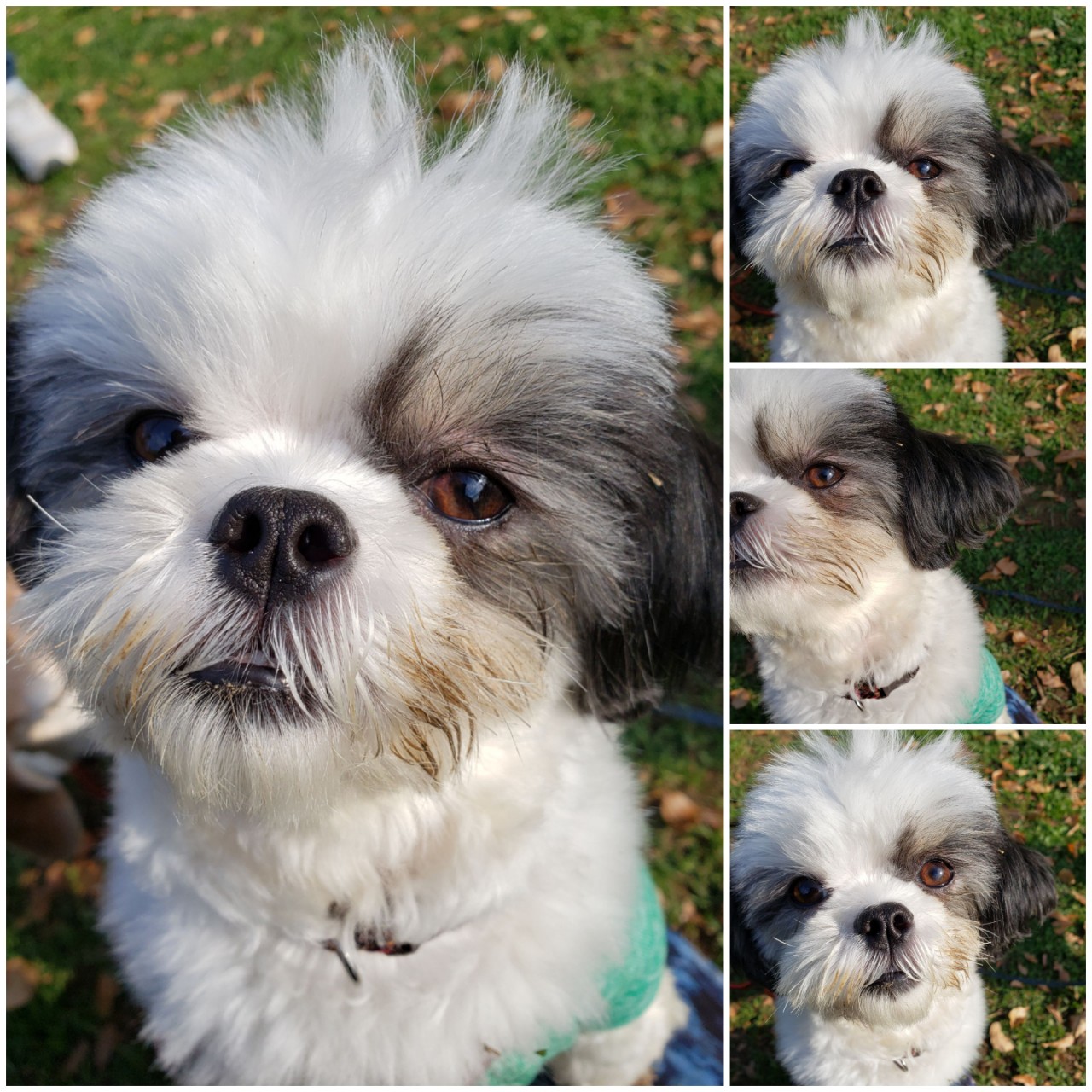 ぐるぐる回る⁉️