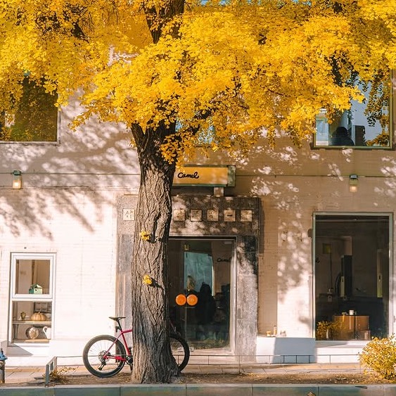 モーニングコーヒーのもうよ