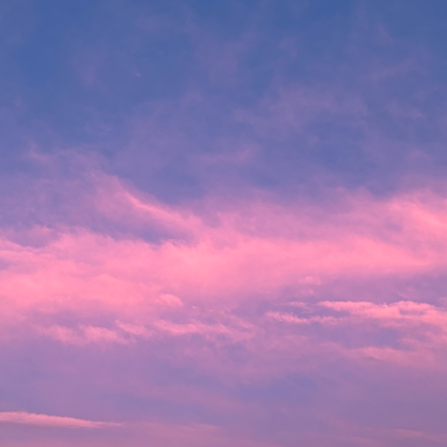 『 だきしめるまで。』