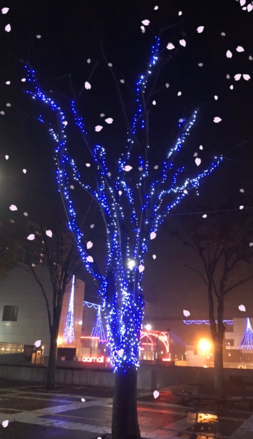 リメンバーミー(ララバイバ-ジョン)