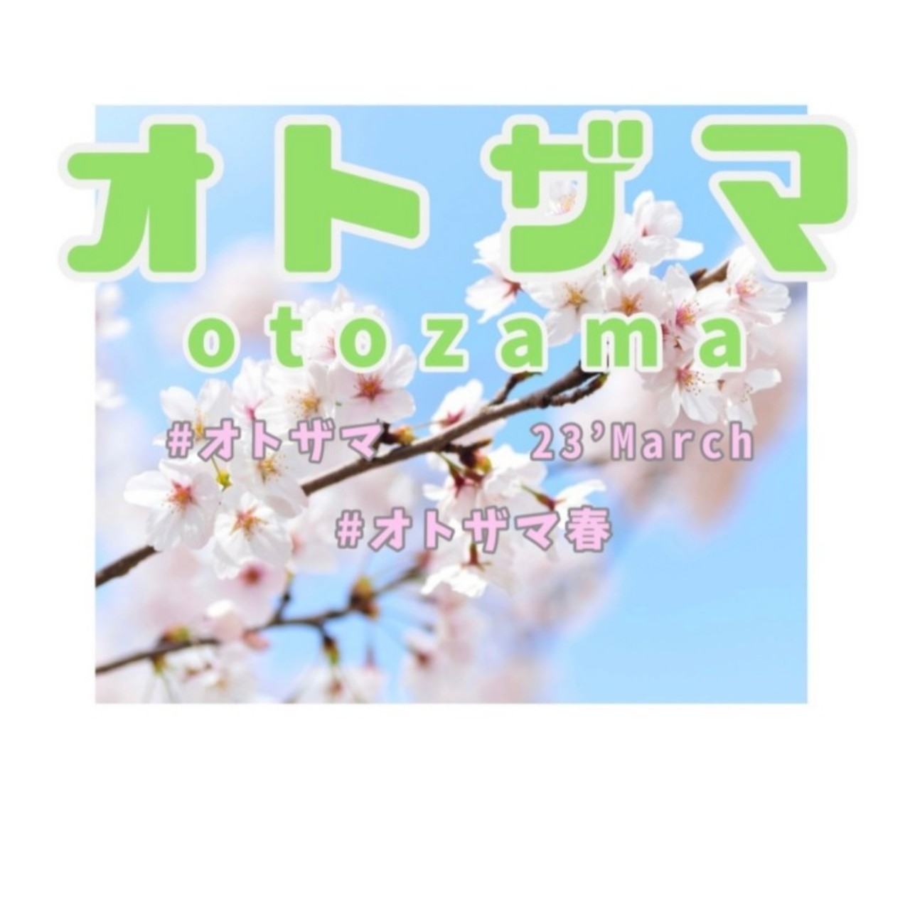 ハルラー