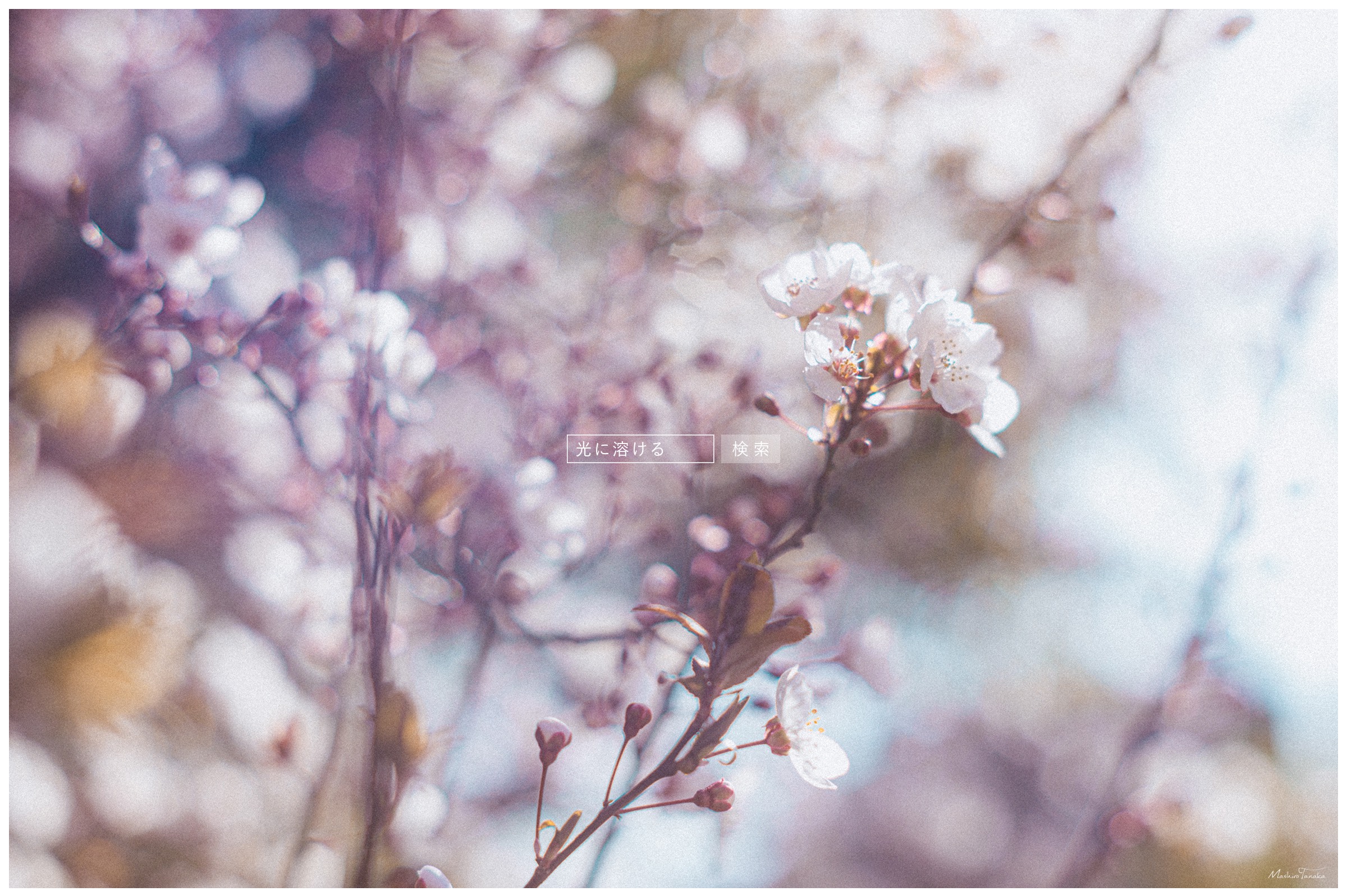 男子大学生弾き語り🌾