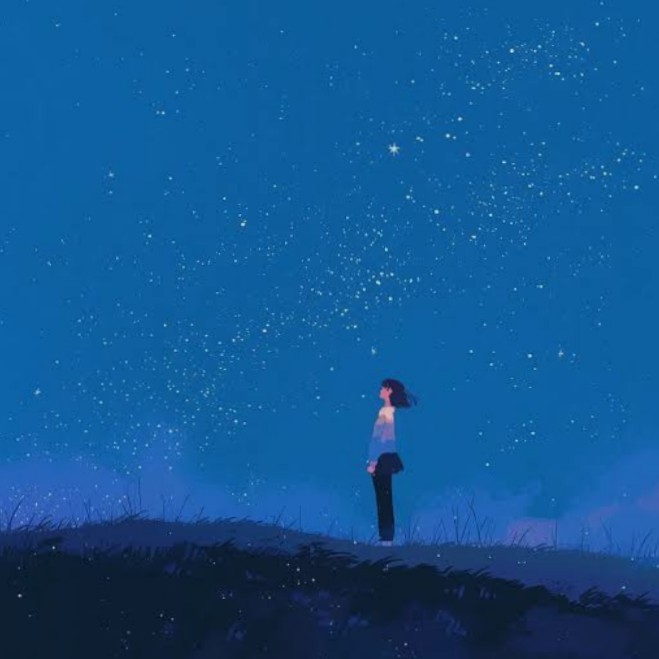 🥀星の流れに 🌹*。