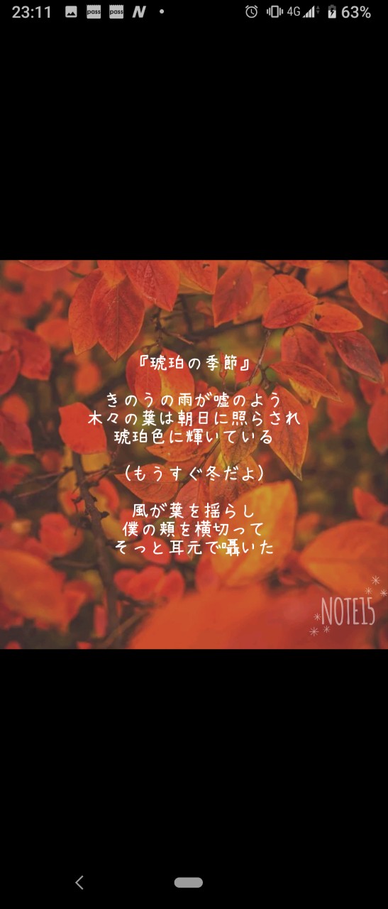 自作ポエム「琥珀の季節」