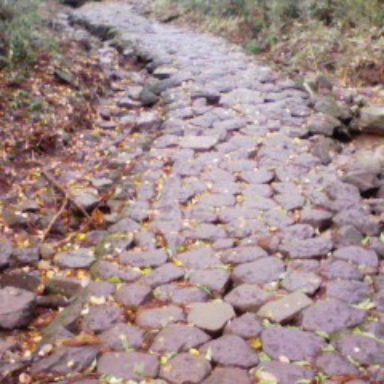 無名氏 『悲歌』