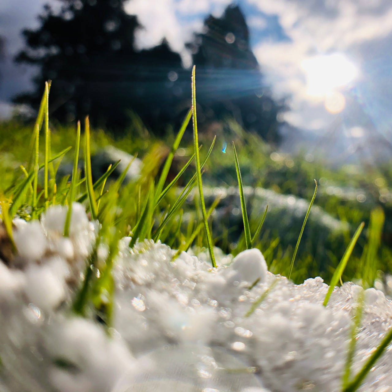 【DTM作曲】ユキドケ