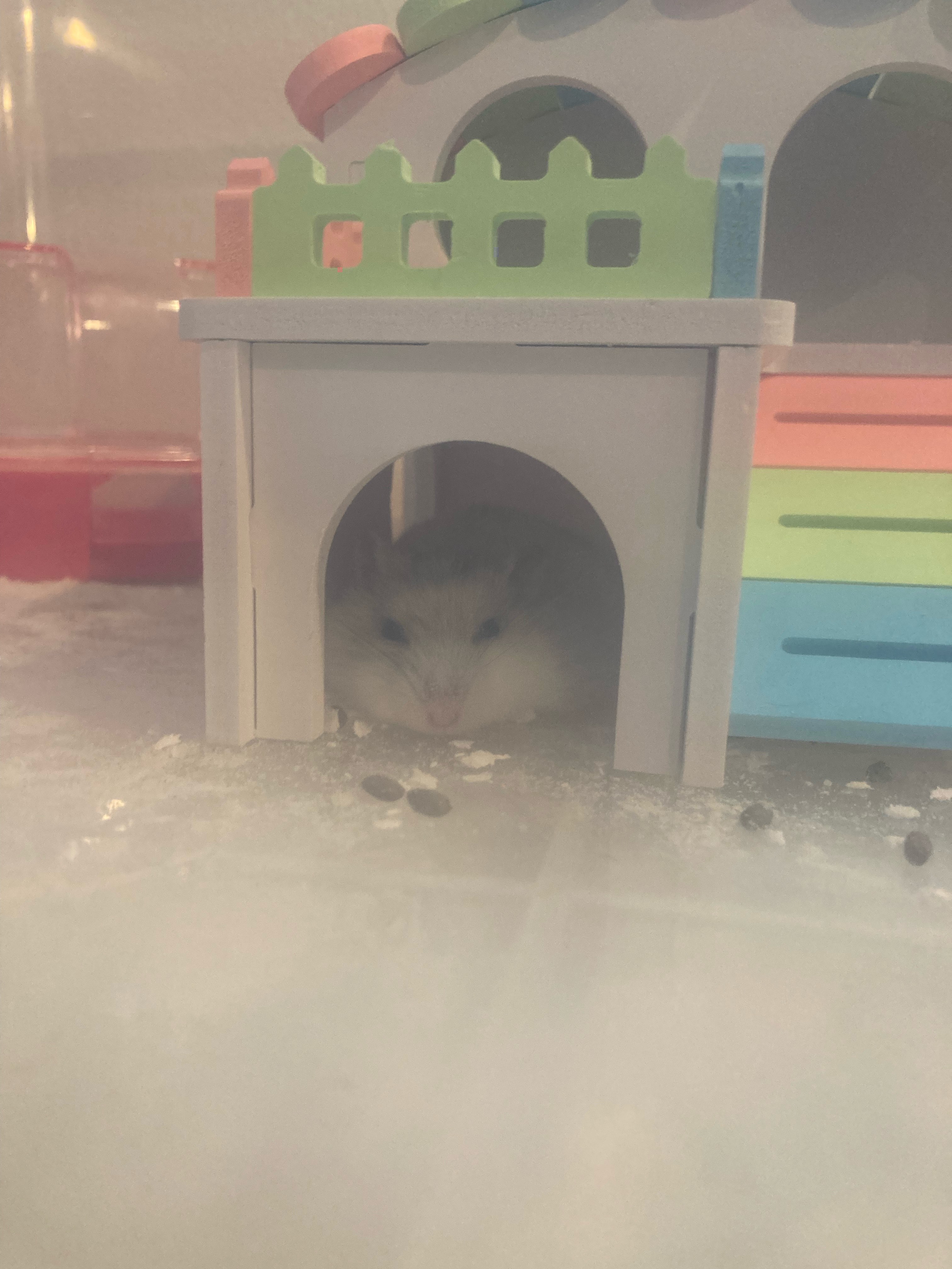ぎたれん
