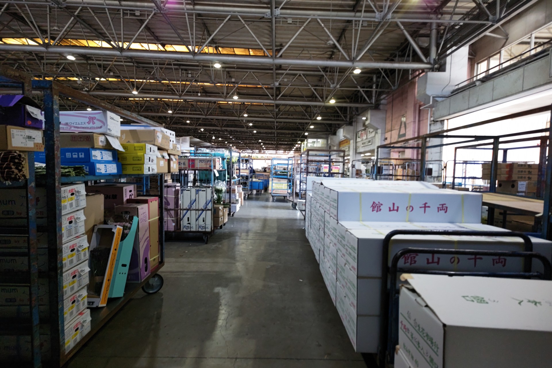 2025-12-08  仙台花