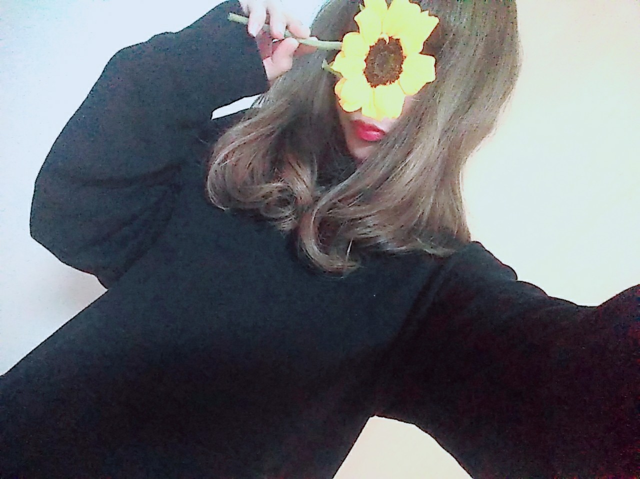 ためし