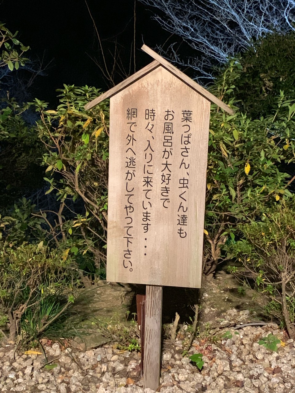×××××配信
