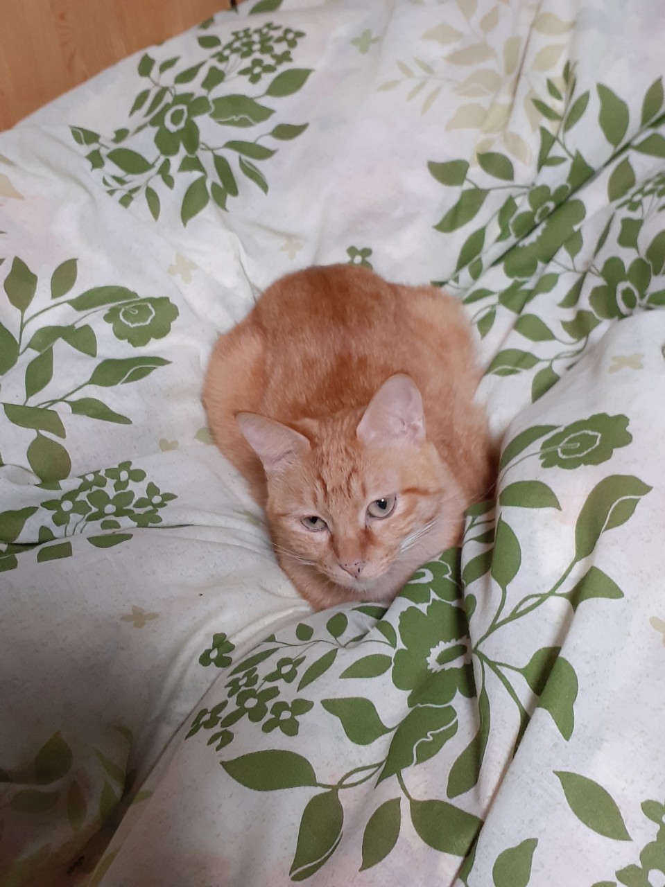 ミスチル好きです!