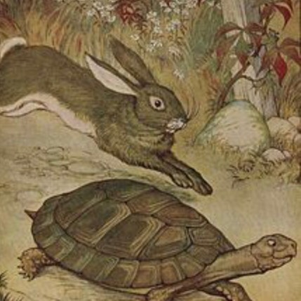 ウサギとカメ