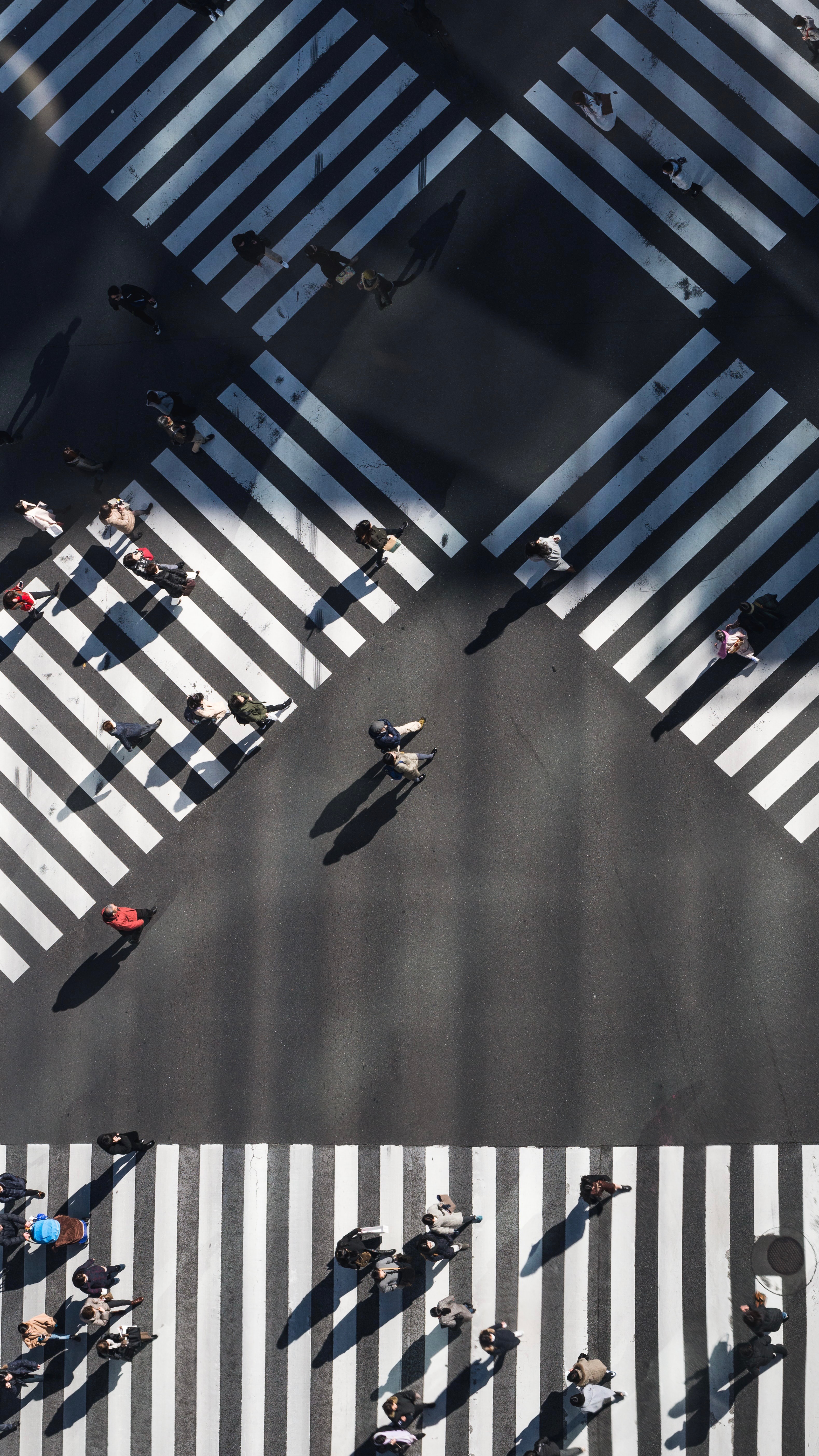 エレキギターで作曲【DTM】