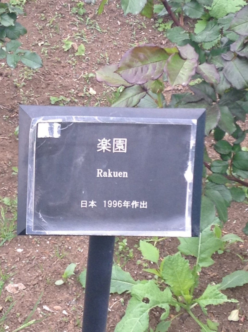 ためしに