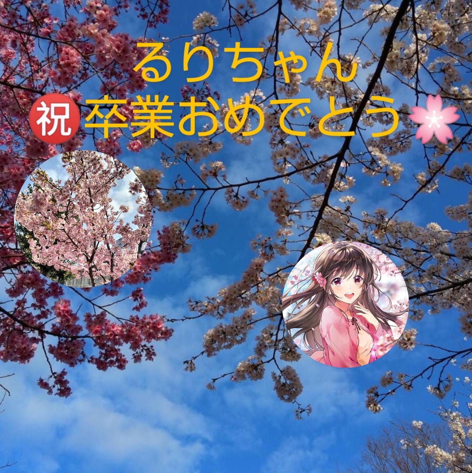 るりちゃん㊗️卒業おめでとう🌸セルコラ