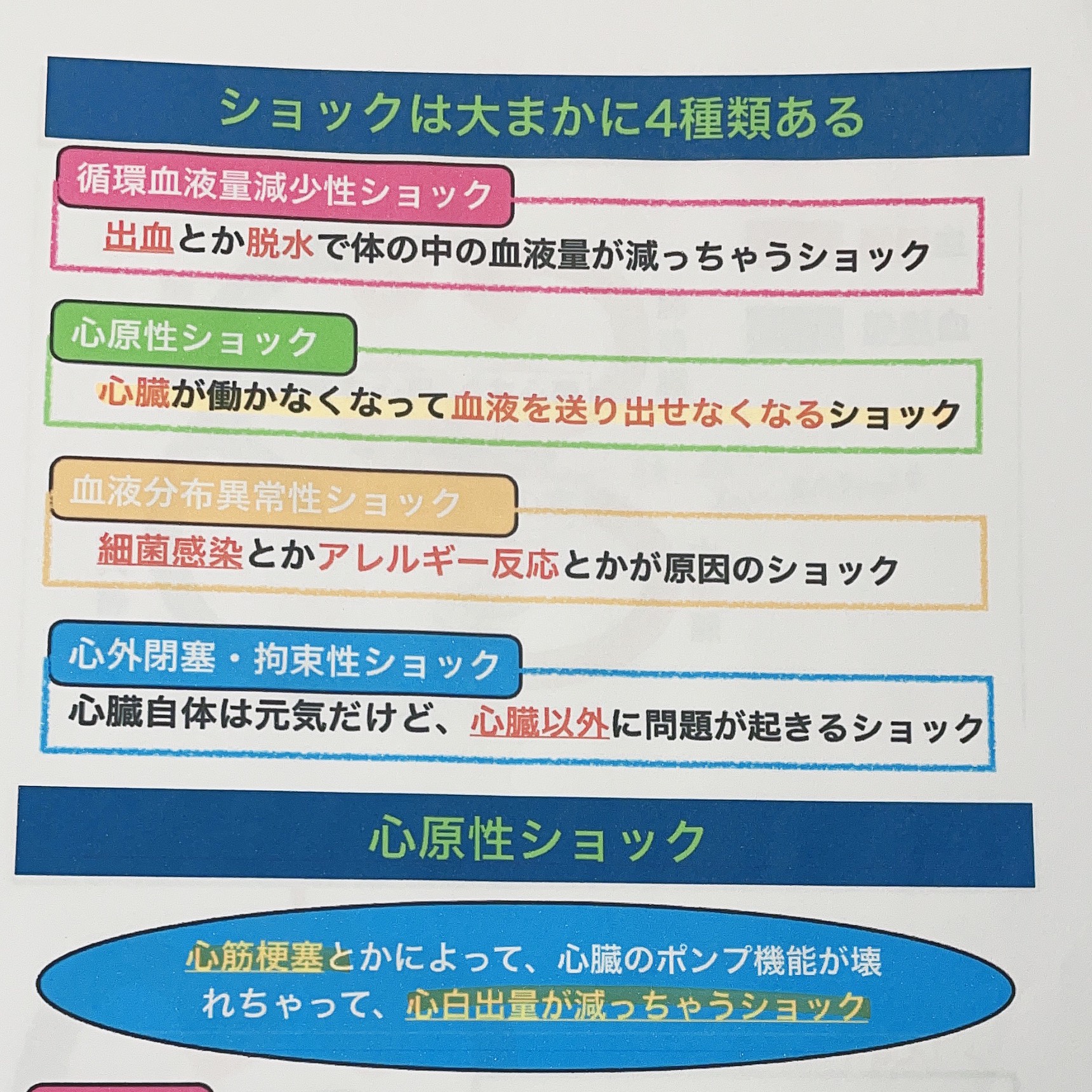 看護学生のショックのまとめ💉