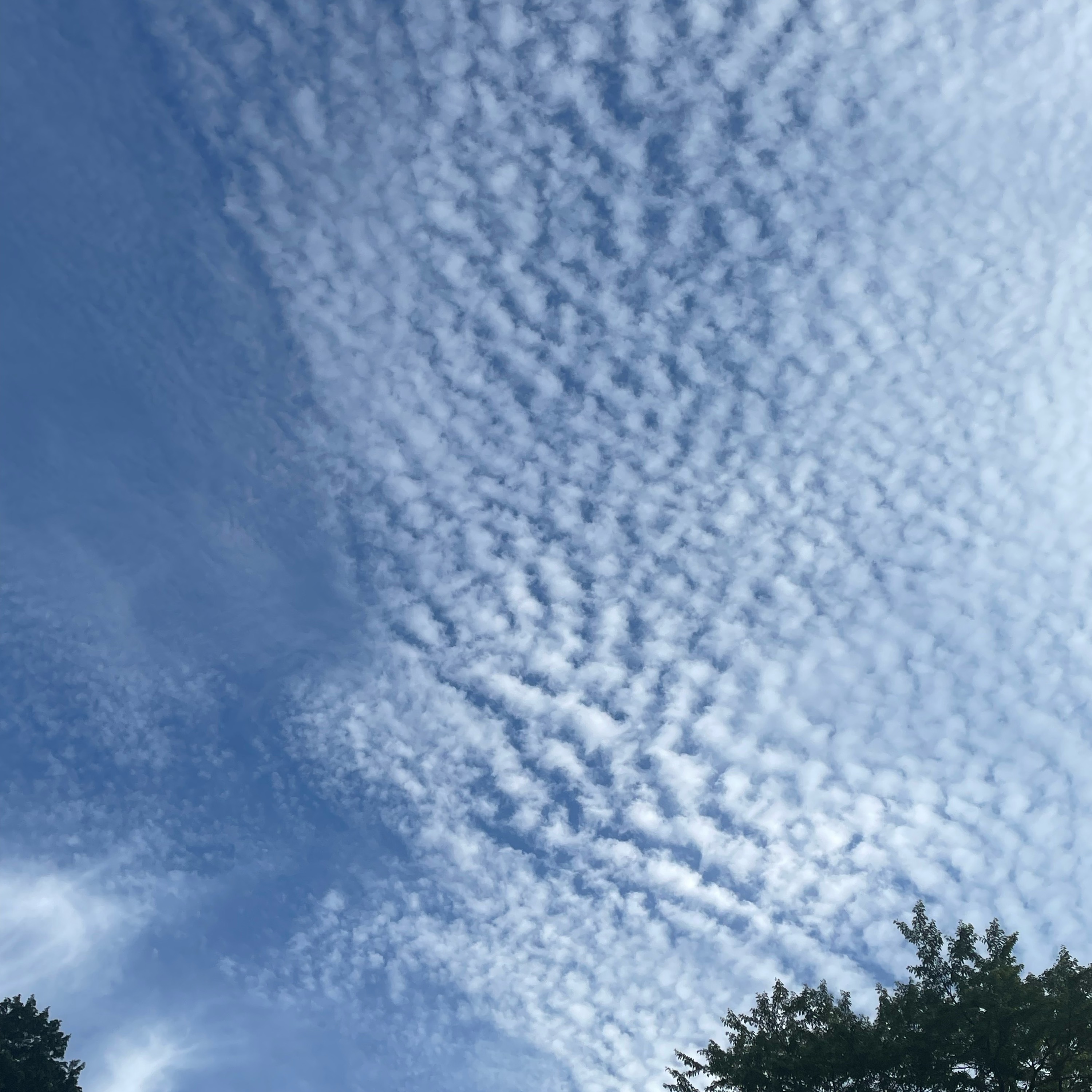 だきしめるまで。