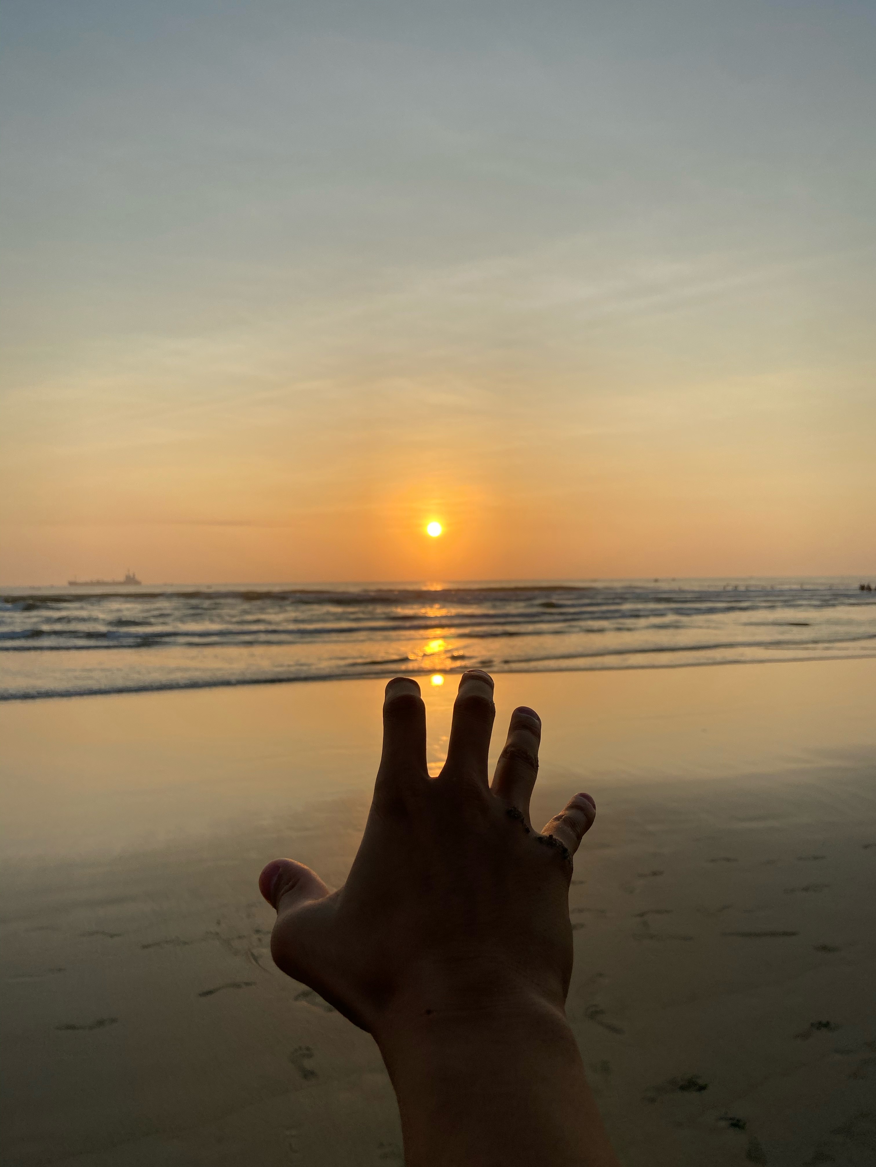 恐竜みたいな声やよ?