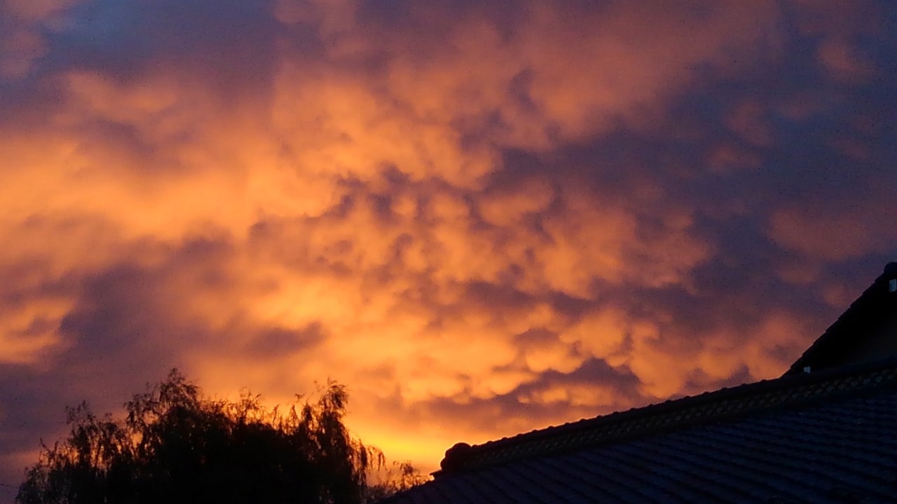 ﾟзﾟ)ﾉ　ﾁｨｰｯｽ