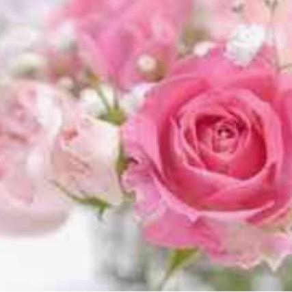 愛人／テレサ・テン