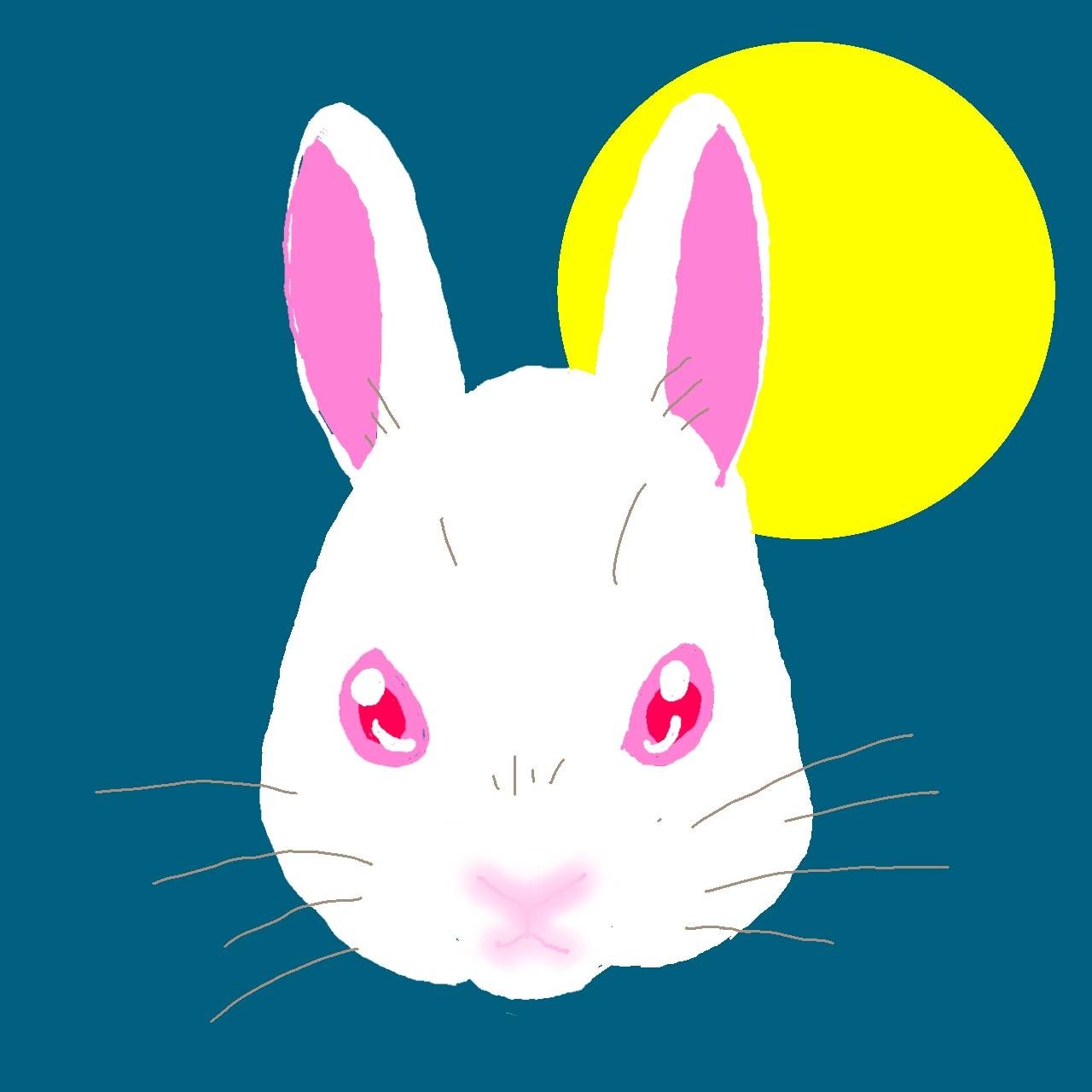 ウサギ/オリジナル曲