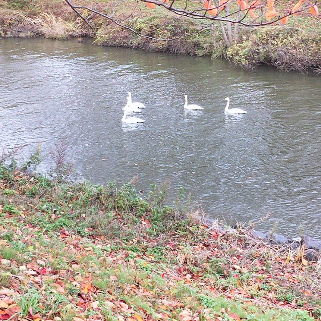 加藤ミリヤ/aitai