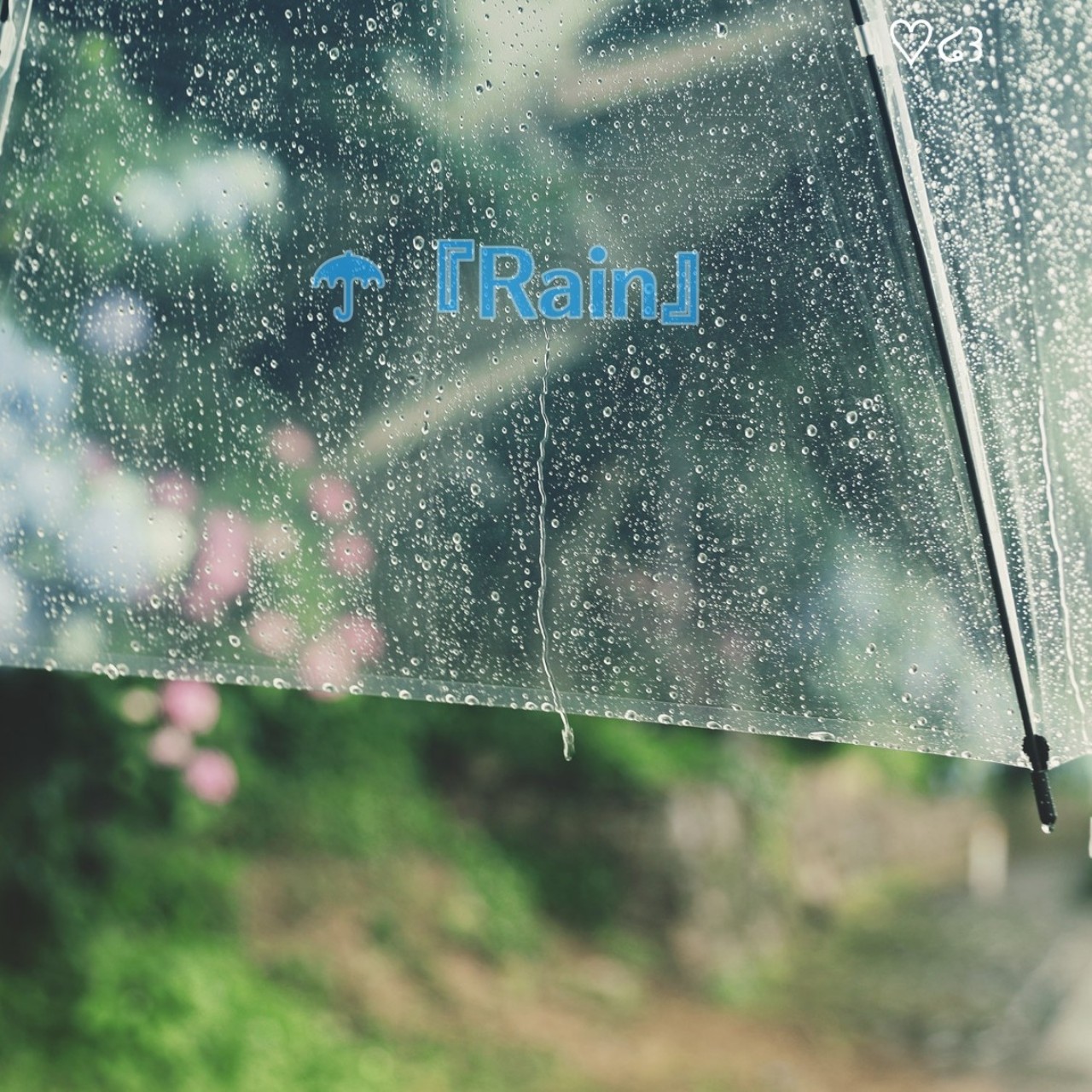 ☂︎『Rain』