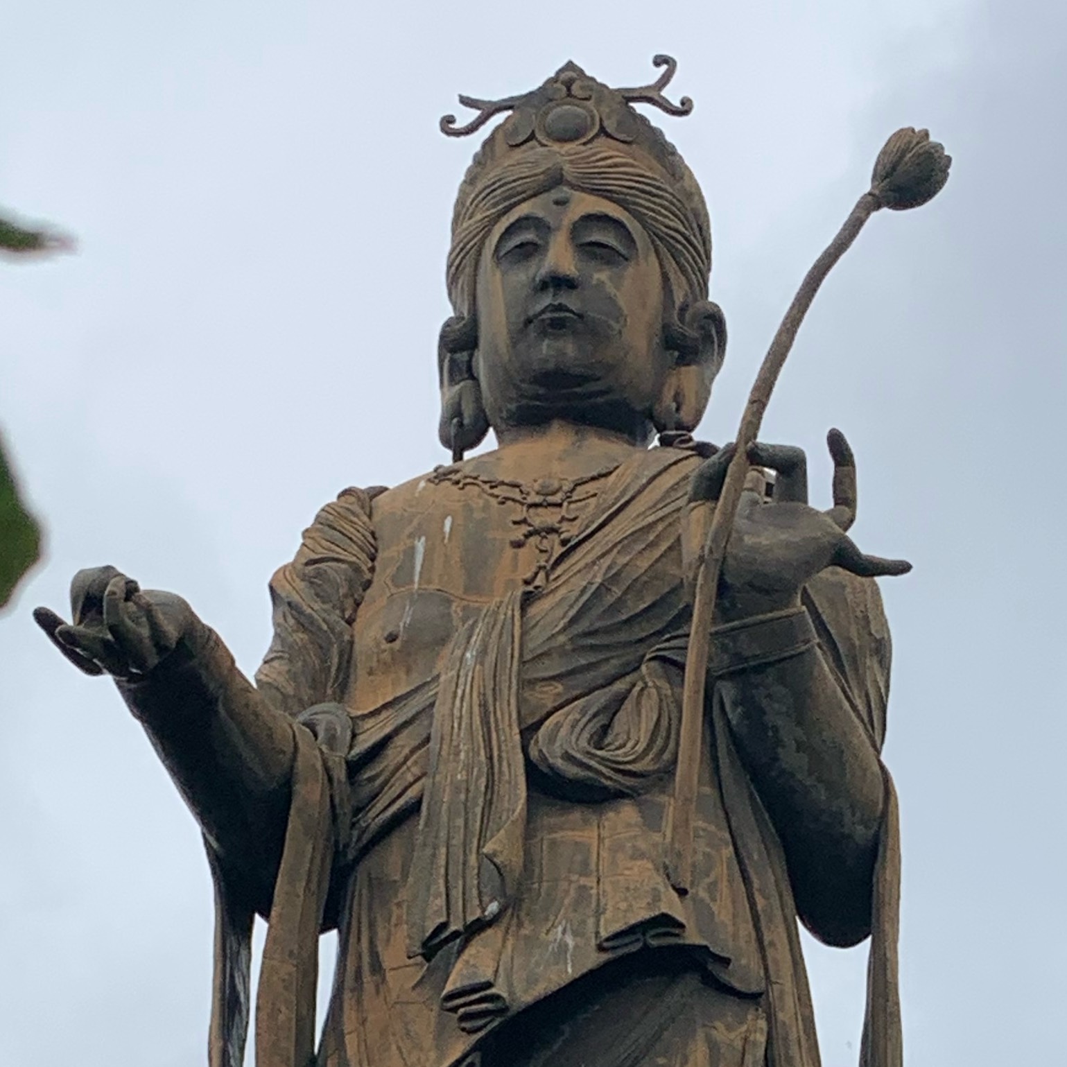 科学と直感【左脳と右脳を使いこなそう】