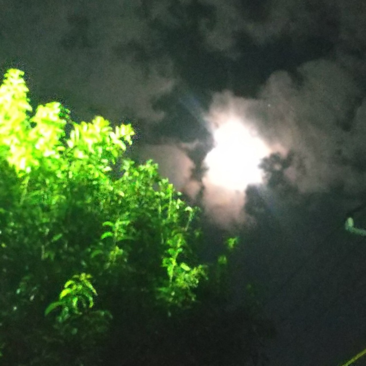 夜叉葉君彦の診療録_④