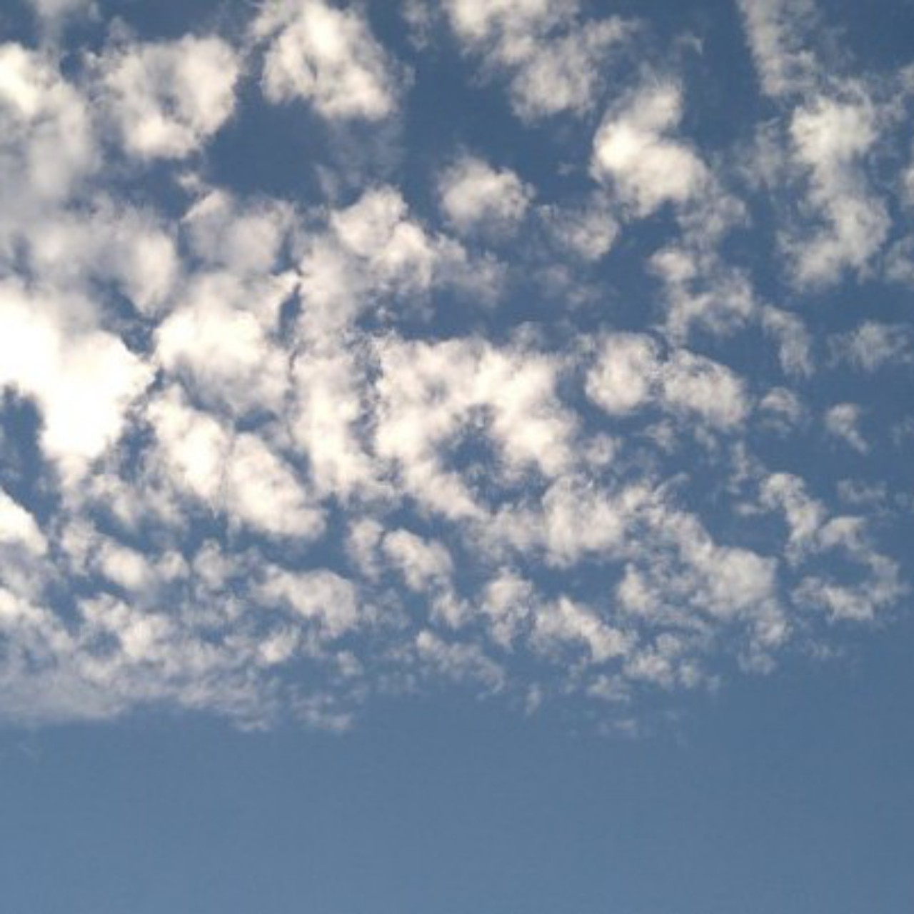 ミスチルに浸る(=^・^=)