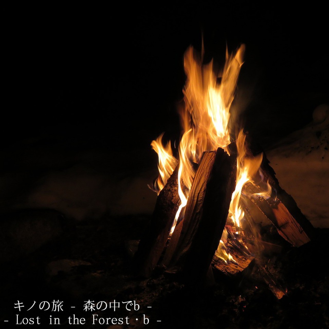 キノの旅 森の中でb