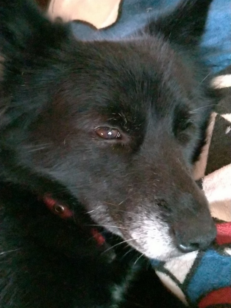 はじめまして!黒雅工務店(くろみや)です