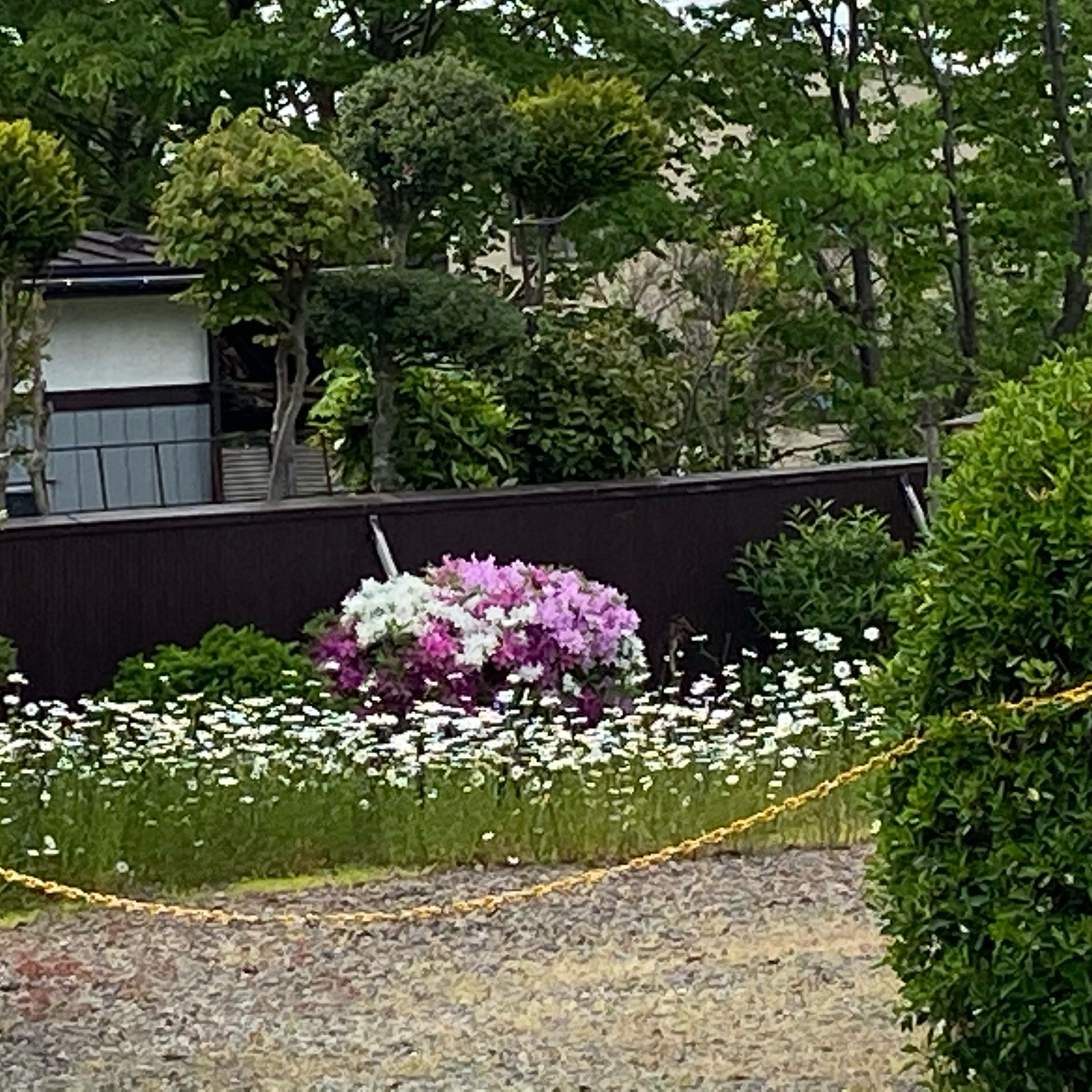 けんかをやめて😉🤗
