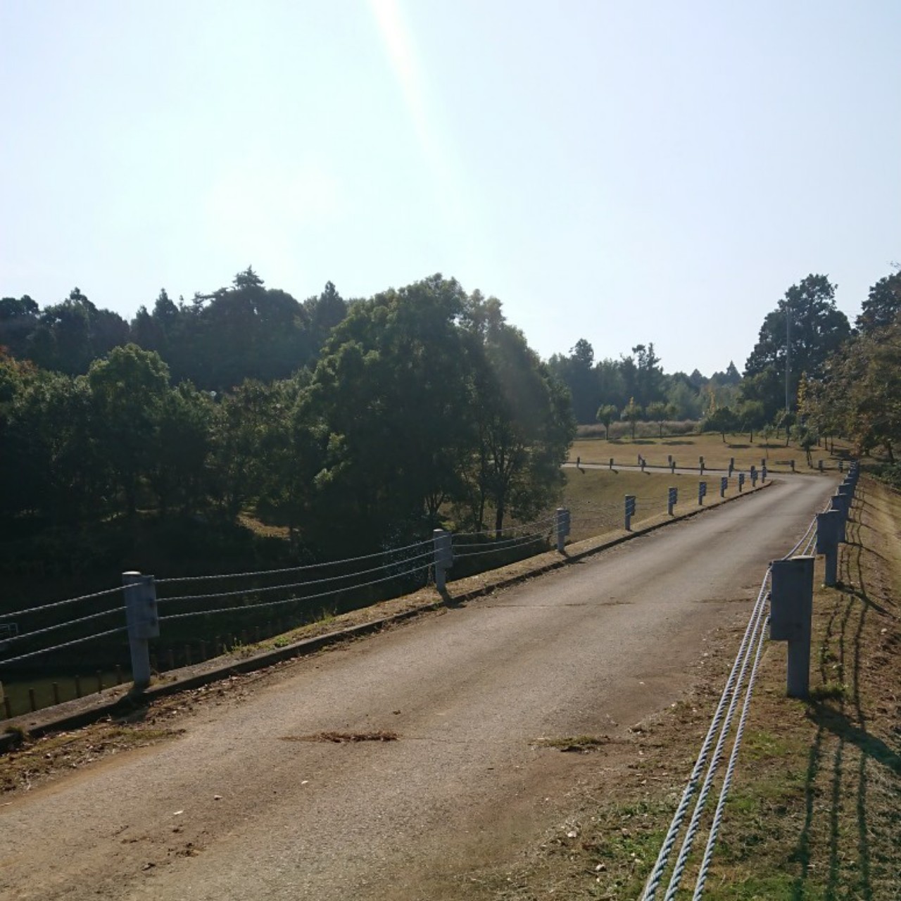 茨城県民あるあるボイス