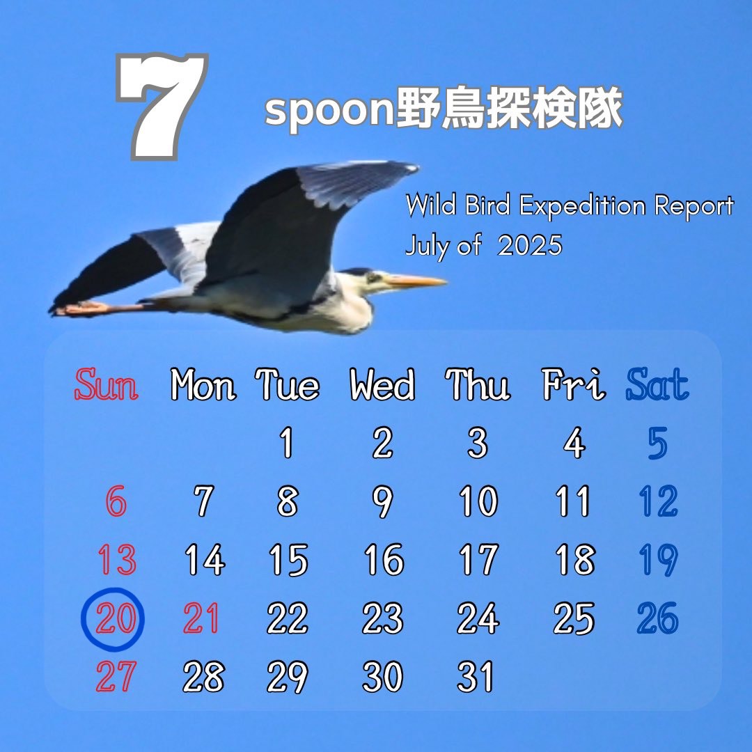  #野鳥探検隊3_7月  長野県御嶽山木曽本宮様にて